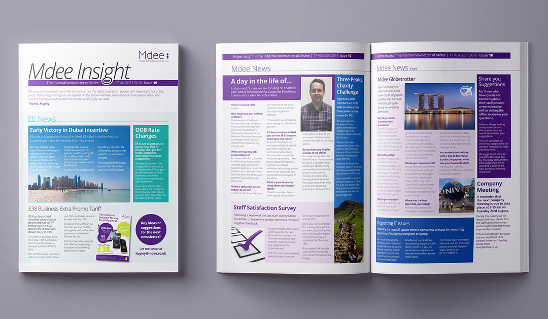 Mdee Insight Newsletter